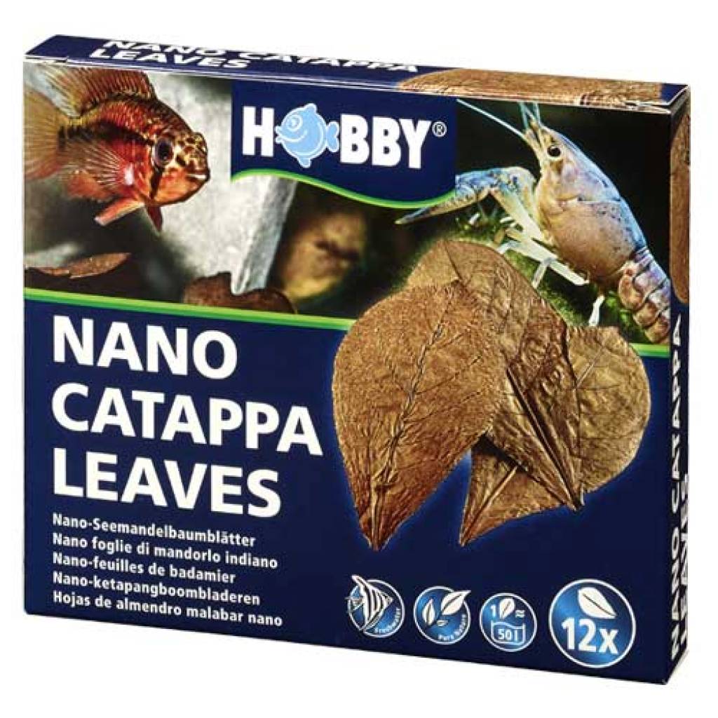 Catappa Leaves